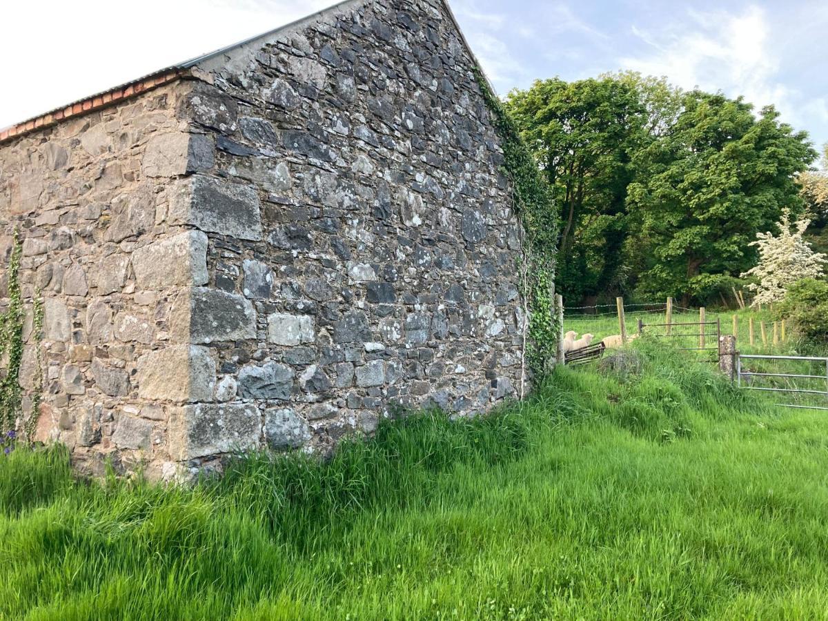Hillhead Country Retreat Villa Castlewellan Exterior photo